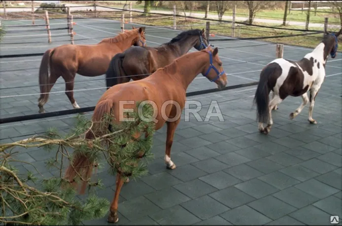 Маты из резиновой крошки для конюшни в Чехове